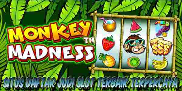 Situs Daftar Slot Terbaik Terpercaya Monkey Madness